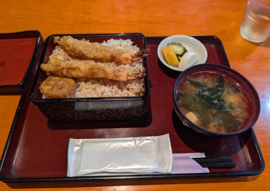 tendon