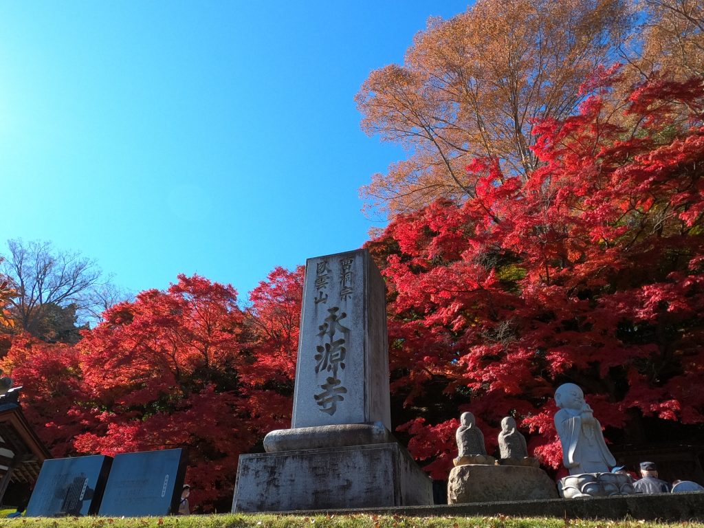 autumn leaves of Eigenji-temple.