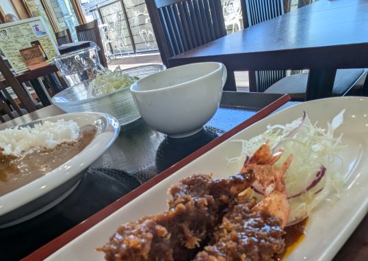 delicious fried shrimp